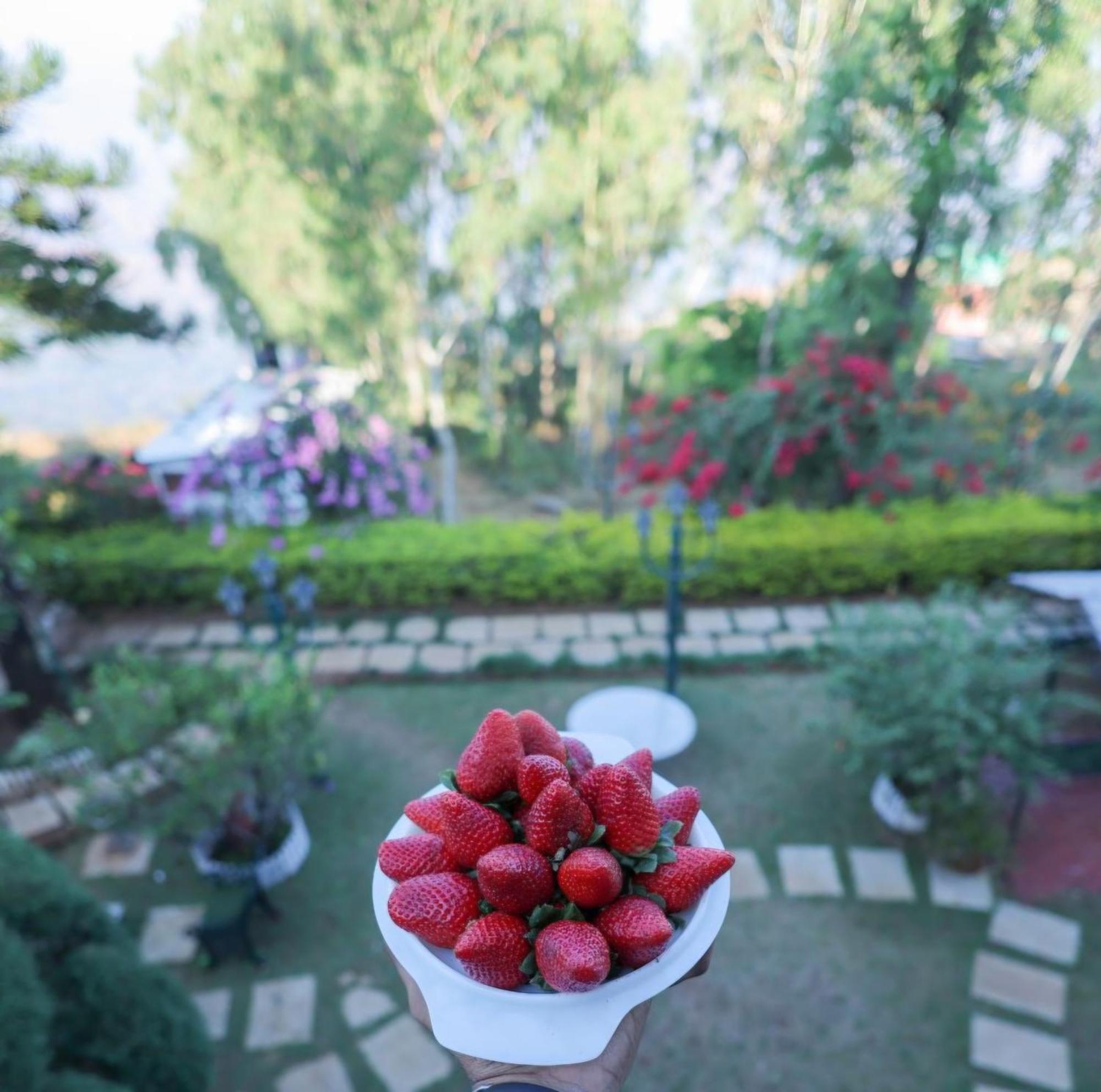Valleycrest Villa With Swimming Pool Mahābaleshwar Eksteriør bilde